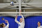 Volleyball vs Babson  Wheaton Women's Volleyball vs Babson College. - Photo by Keith Nordstrom : Wheaton, Volleyball, VB